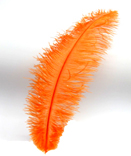 Straussenfeder 30cm orange